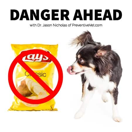 Danger Ahead with Dr. Jason Nicholas of PreventiveVet.com in title and dogs looking at a bag with universal no symbol