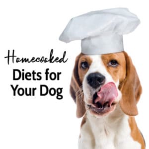 dog licking his chops and podcast title homecooked diets for your dog