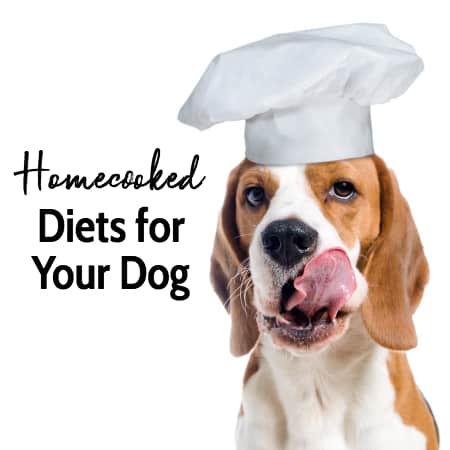 dog licking his chops and title homecooked diets for your dog