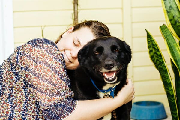 Senior Labrador mix, sitting on the porch being hugged by female owner, photo