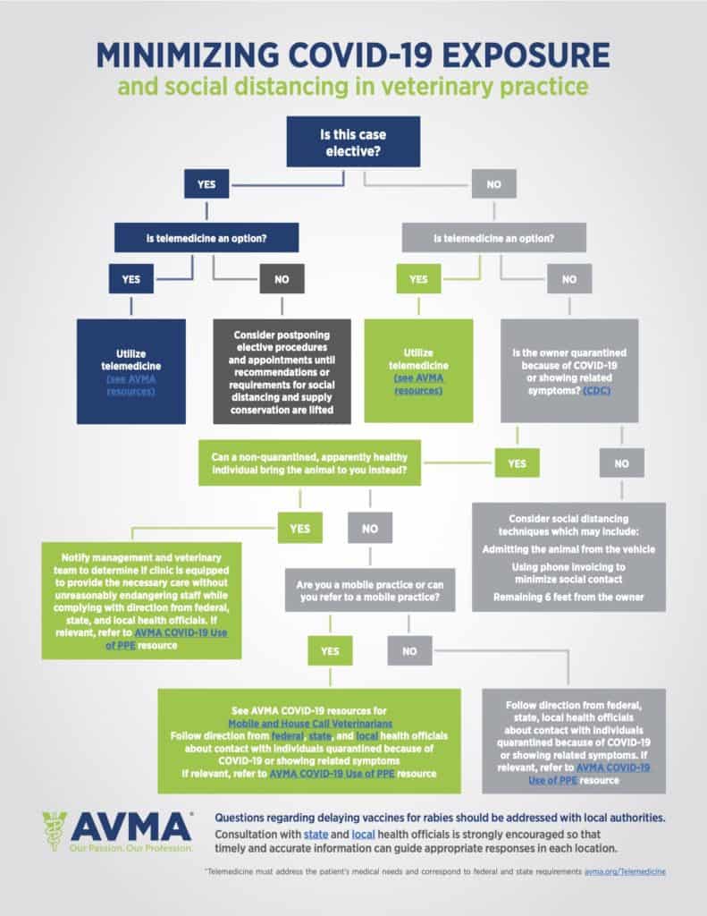 covid-19 flowchart showing how vets make decision on whether to see a patient or offer a telemed visit. photo.