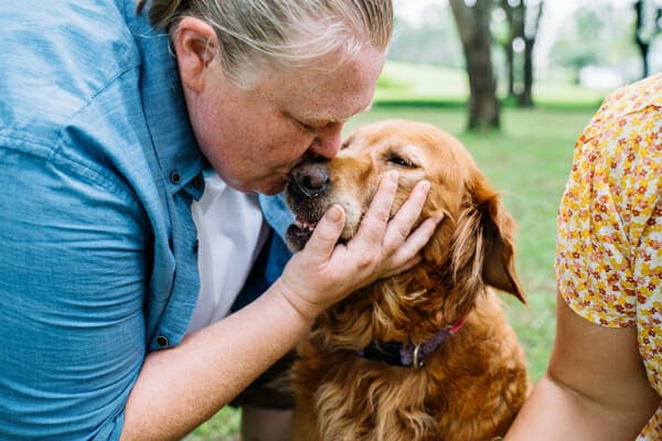 Golden Retriever being loved on by his mom, photo