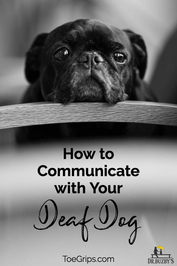 How To Communicate With Your Deaf Dog