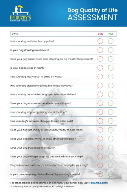 Dog Quality Of Life ASSESSMENT 