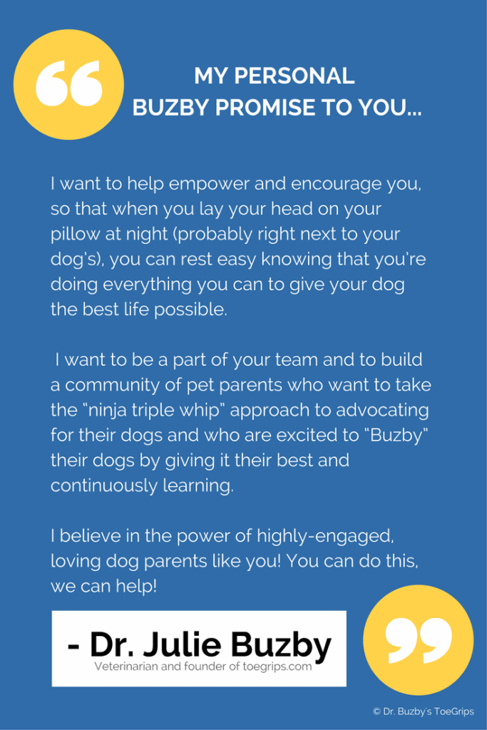 Quote by Dr. Julie Buzby about caring for your dog on blue background 