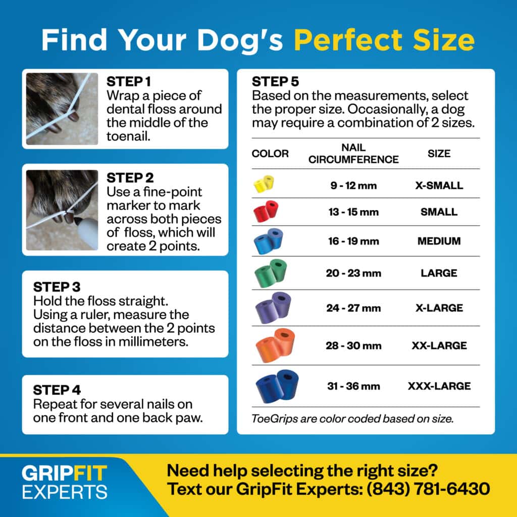 Instruction sheet showing how to find your dog's toegrips size by measuring the dog's toenail circumference. In step 5, the ToeGrips size chart show nail circumference and sizes xs through sizes xxxl