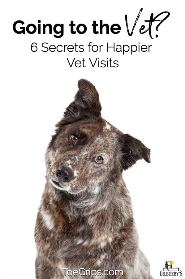 dog with head tilted and title Going to the Vet 6 Secrets to Happier Vet Visits