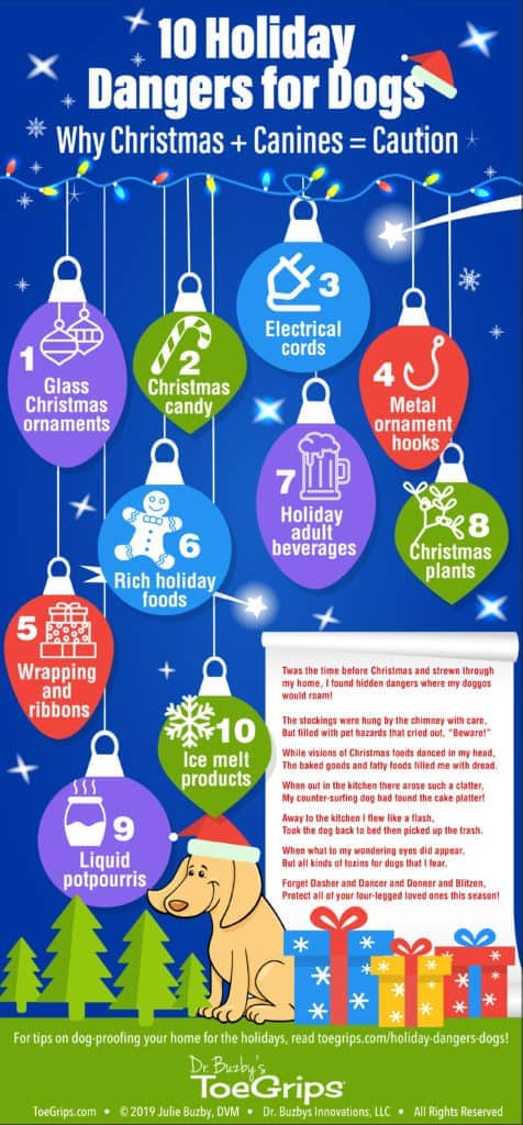 Infographic with title 10 Holiday Dangers for Dogs 