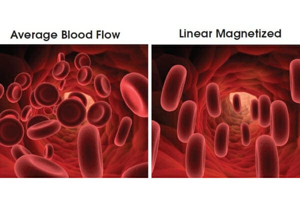 Diagram showing average blood flow vs. linear magnetized blood flow, photo