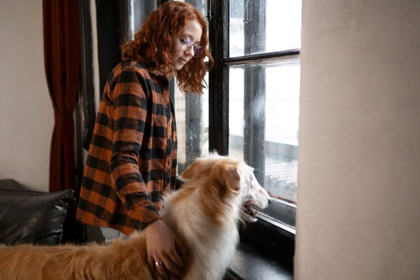Dog staying inside with his owner