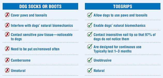 infographic chart comparing dog boots to toegrips