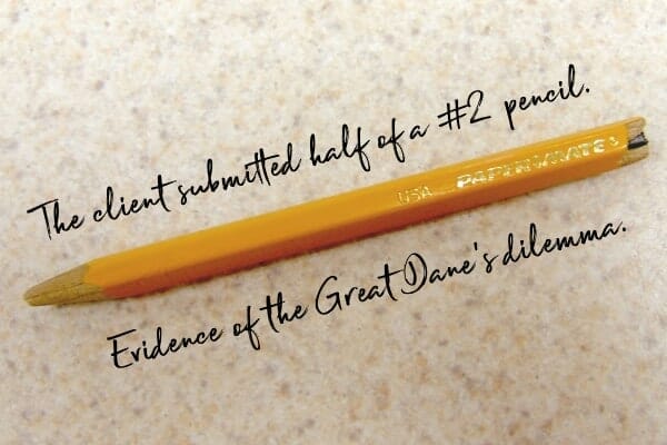 Half of a broken pencil and wording "The client submitted half a #2 pencil as evidence of the Great Dane's dilemma