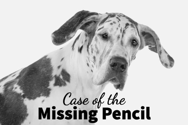 Great Dane dog and title The Case of the Missing Pencil 