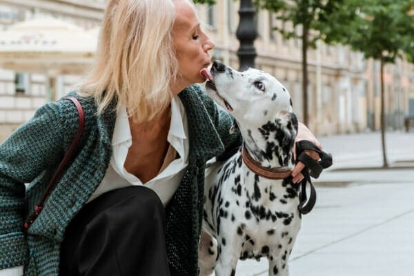 Dalmation licking his owners face while walking down a city street, photo