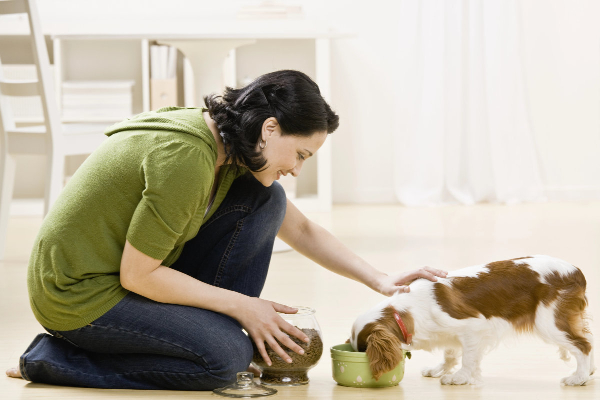 Owner feeding her dog a hypoallergenic dog food due to food allergy