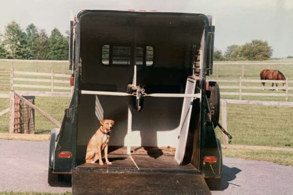 a horse trailer with a dog sitting beside it, photo