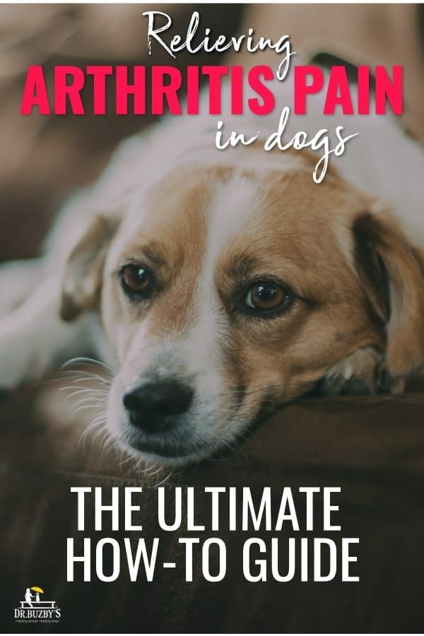 How To Relieve Arthritis Pain In Dogs The Ultimate Guide Dr Buzby S Toegrips For Dogs