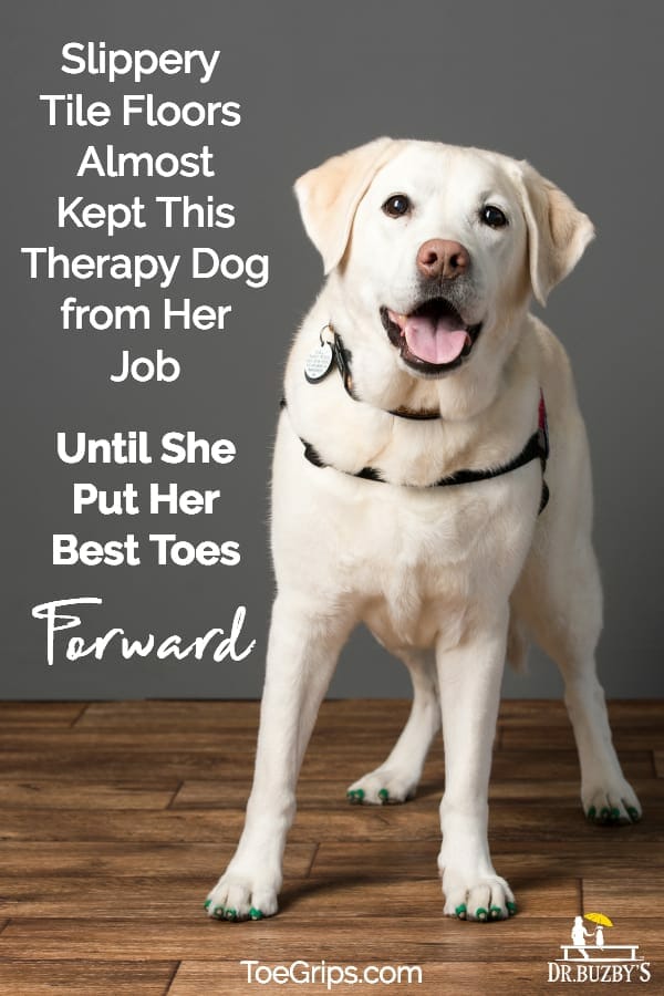 award-winning therapy dog wearing green ToeGrips® and title Slippery Tile Floors Almost Kept the Therapy Dog from Her Job Until She Put Her Best Foot Forward