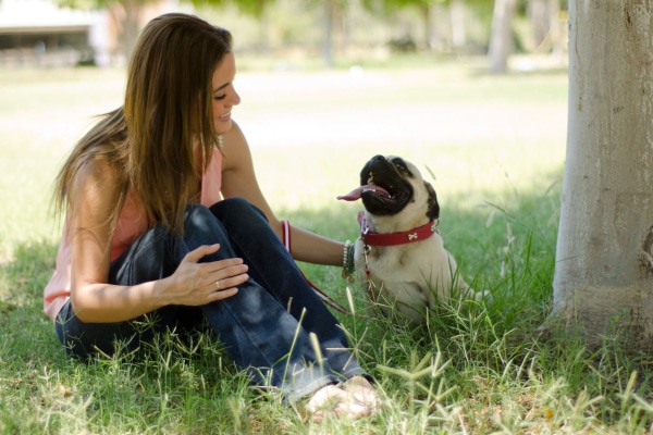 Dog and dog mom cooling down in the shade of a tree