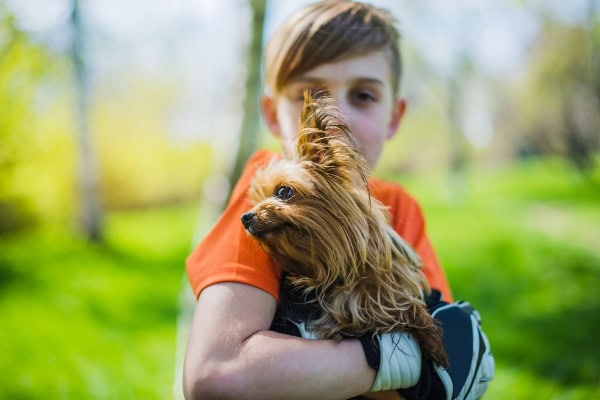 Boy holding a Yorkie dog outside