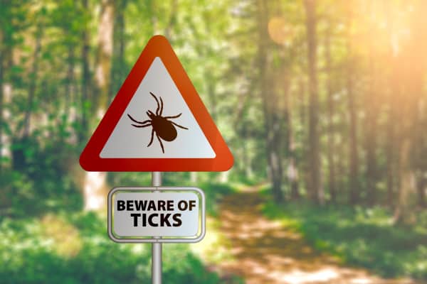 To help prevent tick-borne diseases in dogs and people, some place post red and white signs in a wooded area that say, "beware of ticks" 