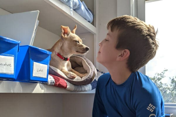 Bean and his human brother looking at each other, photo