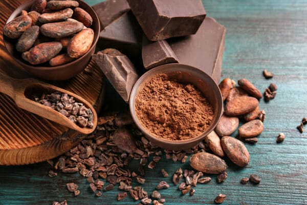 Different forms of chocolate including cacao beans and cocoa powder, photo