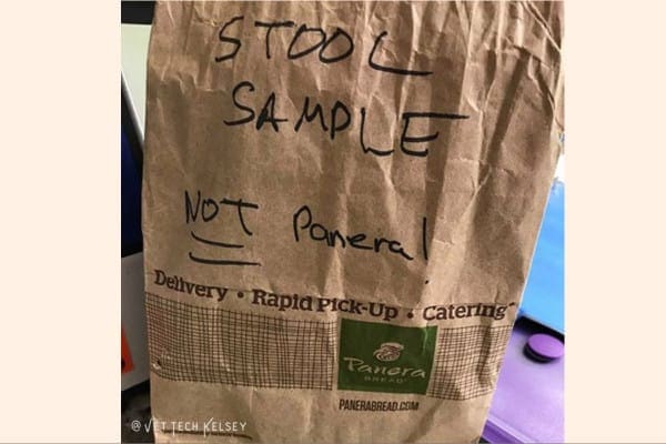 brown panera bag with handwritten note saying dog stool sample not panera 