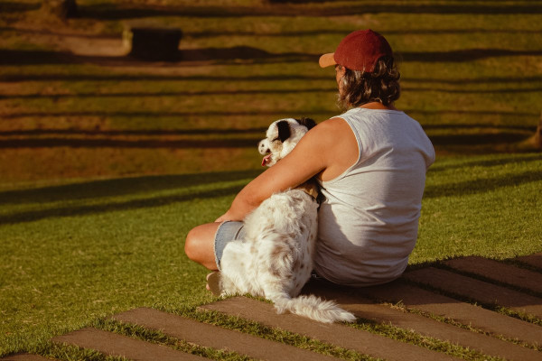 Dog sitting outside on the lawn with his owner