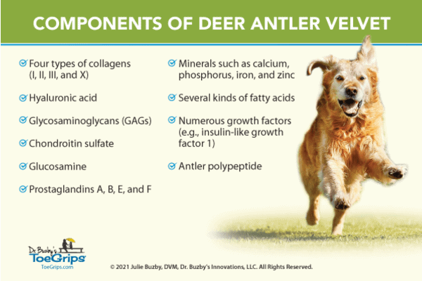 checklist of components of deer antler velvet including glucosamine, chondroitin sulfate, and hyaluronic acid, infographic