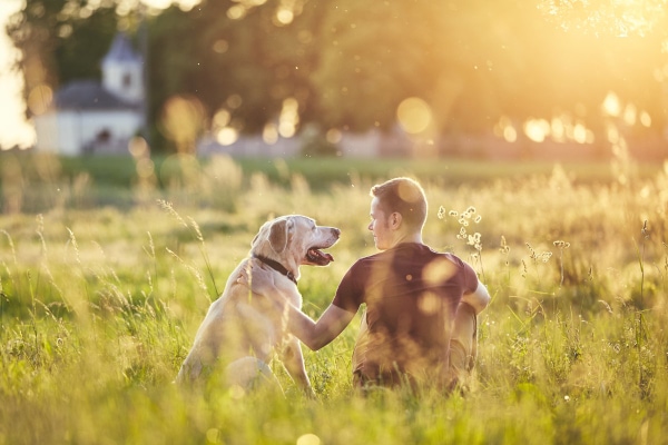 Dog sitting in a field with owner at sunset to represent the difficult time of a diabetic dog's end of life
