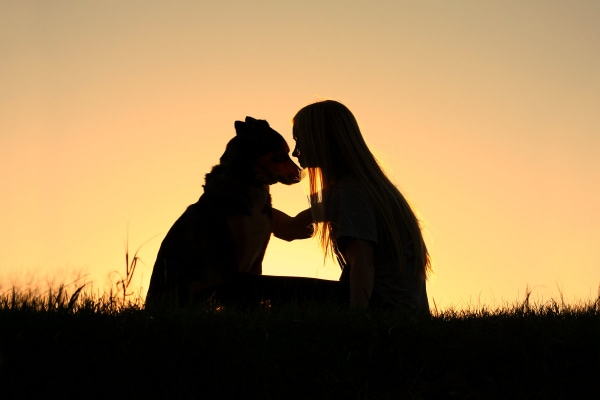 Silhouette of a dog owner and dog at sunset to represent end of life for a dog with diabetes
