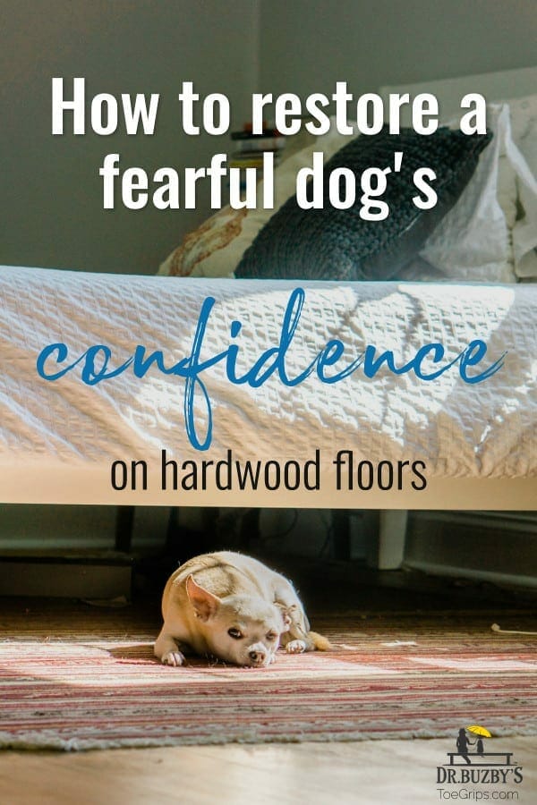 Your Dog Is Afraid Of Hardwood Floors, Dog Suddenly Slipping On Hardwood Floors