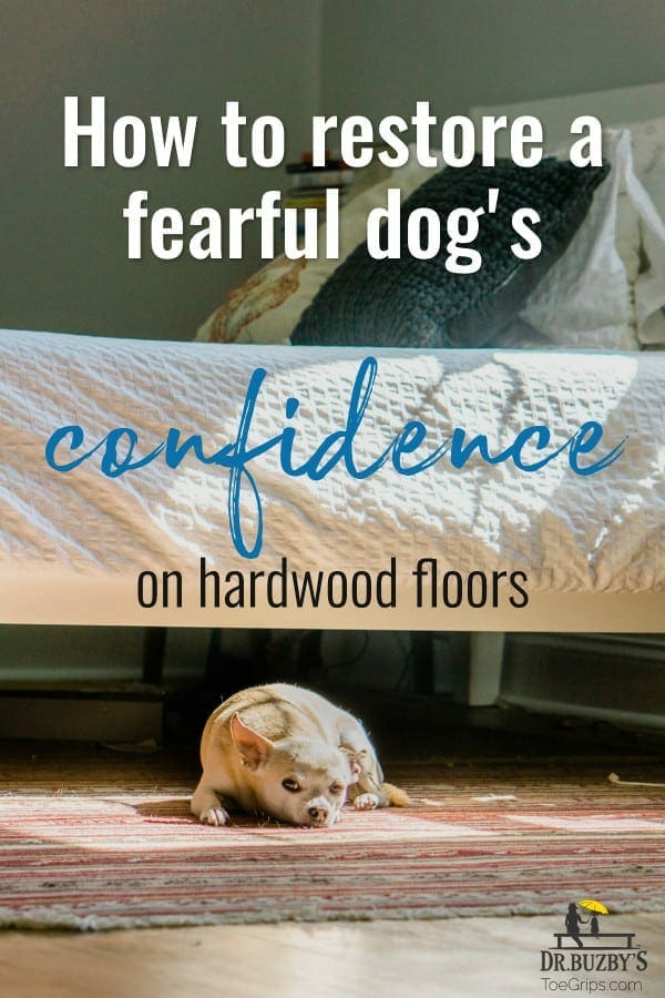 photo sad dog on rug in bedroom and title how to restore a dog's confidence on hardwood floors