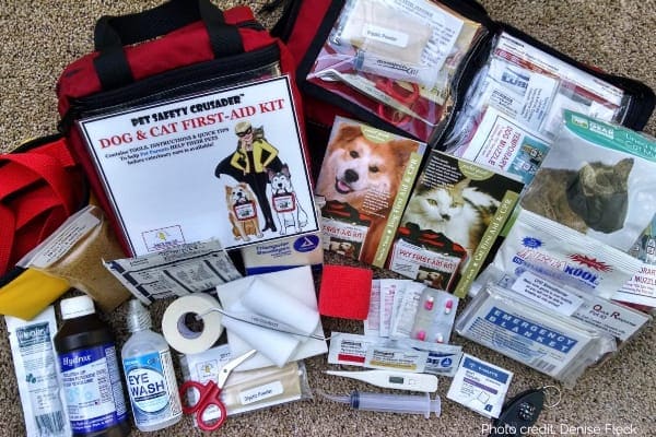 Variety of contents inside a first aid kit, photo