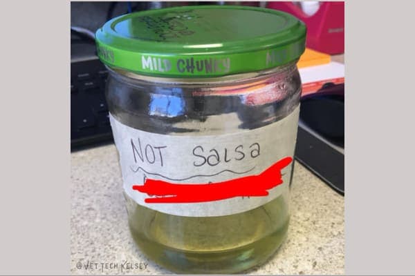 photo of dog urine in a salsa jar 
