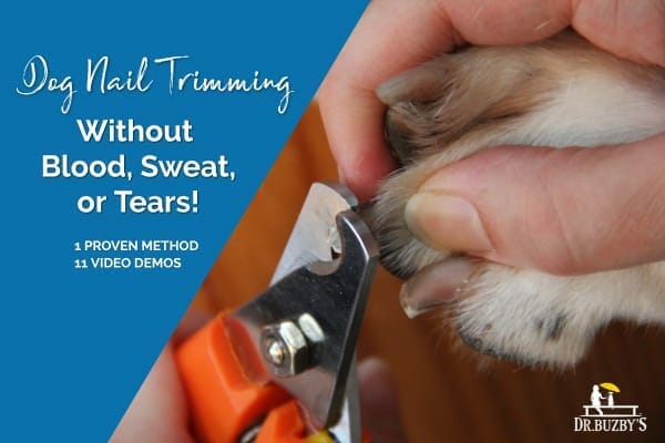 photo dog nail and trimmers and title dog nail trimming without blood, sweat, or tears. 1 proven method. 11 video demos. photo. 