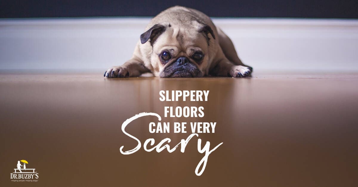 Why Your Dog Is Afraid of Hardwood Floors & 5 Practical Solutions - Dr. Buzby's ToeGrips for Dogs