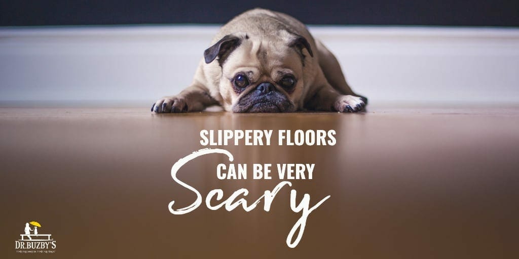 Your Dog Is Afraid Of Hardwood Floors, Dog Sliding On Hardwood Floor