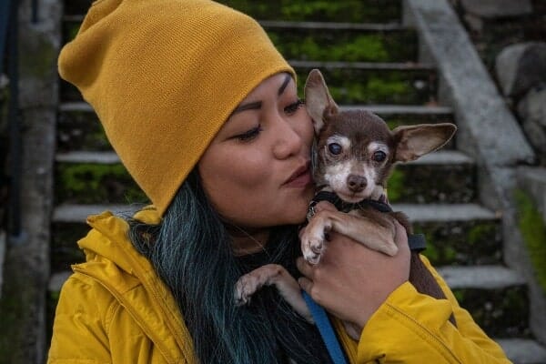 Chihuahua being hugged and kissed by owner in yellow, photo