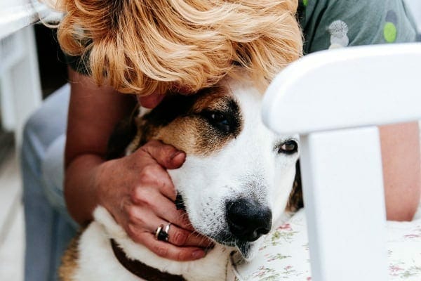 Dog mom hugging her brown and white dog, photo