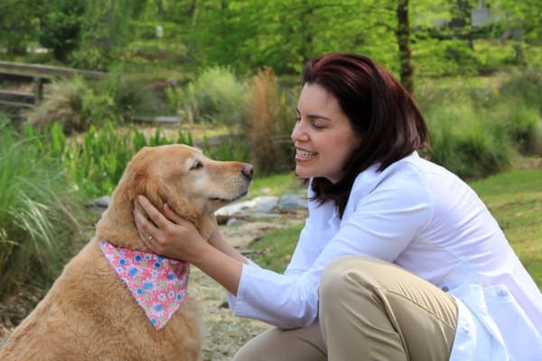 Integrative veterinarian Dr. Julie Buzby caring for a senior Golden Retriever dog, photo