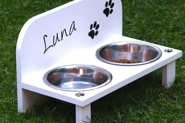 A short, squat stand with food and water dishes that are elevated for a senior dog's comfort