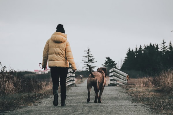 Owner taking her dog out for a walk as a form of canine enrichment