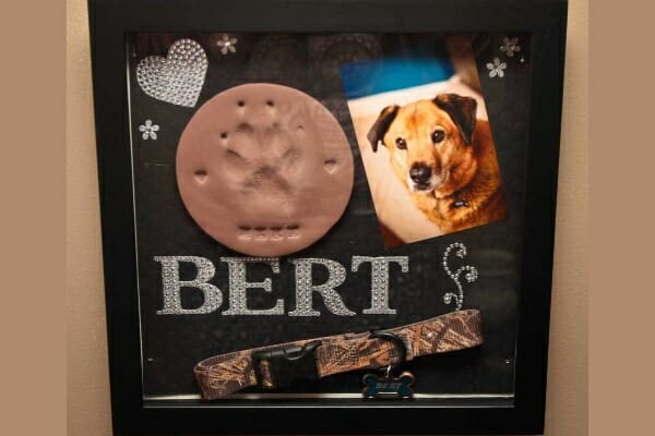 Shadow box with clay paw print, collar and photo of passed pet, photo