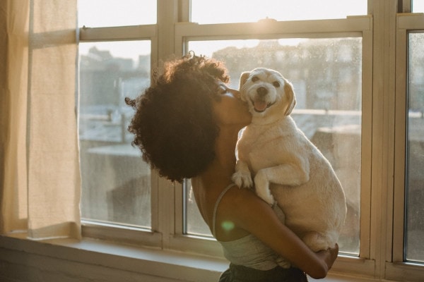 Owner holding her terrier in front of a window and giving a kiss