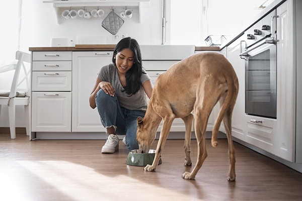 Owner feeding her dog food in a bowl