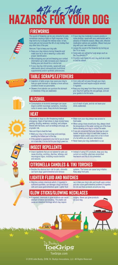 Infographic about dogs and fireworks and other 4th of July celebration hazards for dogs. The title reads: 4th of July Hazards for Your Dogs and includes the dangers of fireworks for dogs along with other summer dangers 