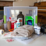 Dog First Aid Kit: 15 Must-Have Items