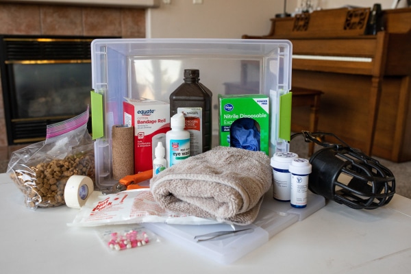 A variety of items such as towel, tape, medications for a dog first aid kit